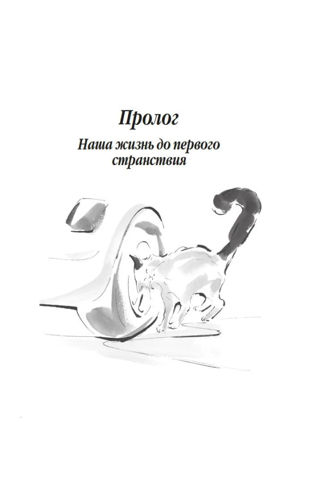 Klejojošā kaķa hronikas